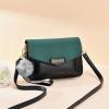 Summer Shoulder Korean Style Messenger Bag